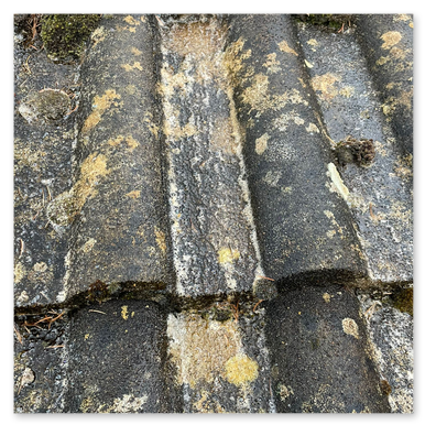 DJN TOITURE - Artisan Couvreur - Rénovation de couverture